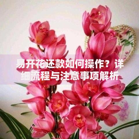 易开花还款如何操作？详细流程与注意事项解析