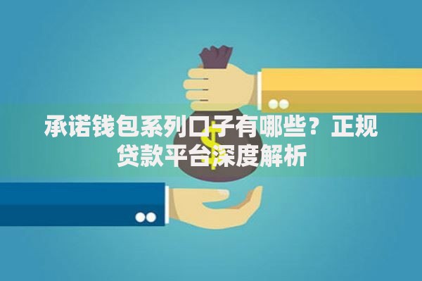 承诺钱包系列口子有哪些？正规贷款平台深度解析