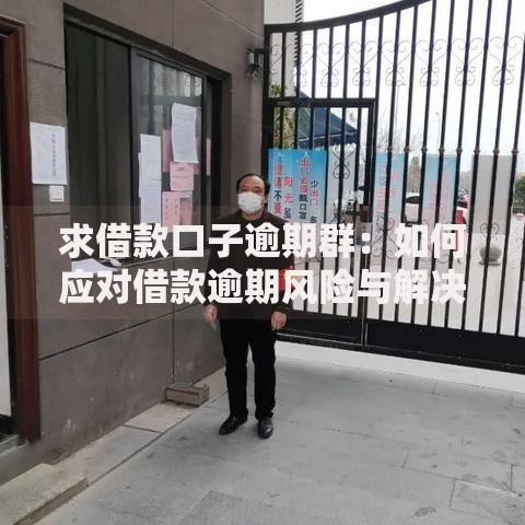 求借款口子逾期群：如何应对借款逾期风险与解决方案解析