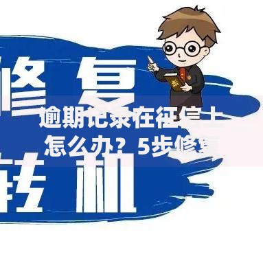 逾期记录在征信上怎么办？5步修复信用全攻略