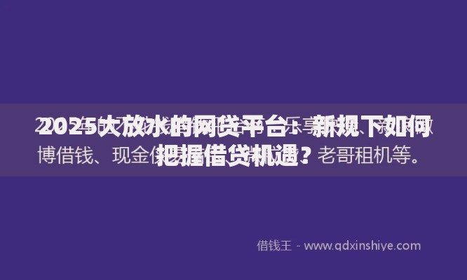 2025大放水的网贷平台：新规下如何把握借贷机遇？