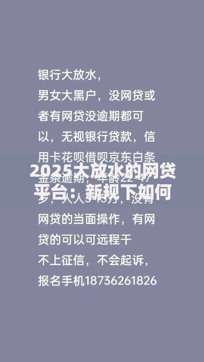2025大放水的网贷平台：新规下如何把握借贷机遇？