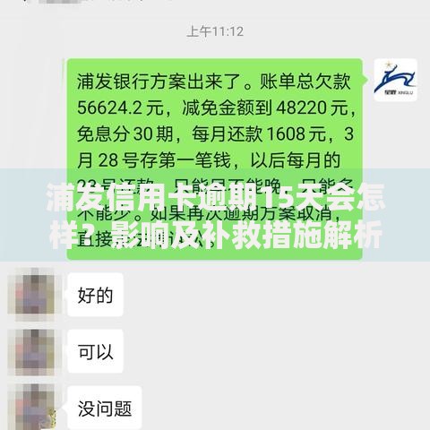 浦发信用卡逾期15天会怎样？影响及补救措施解析