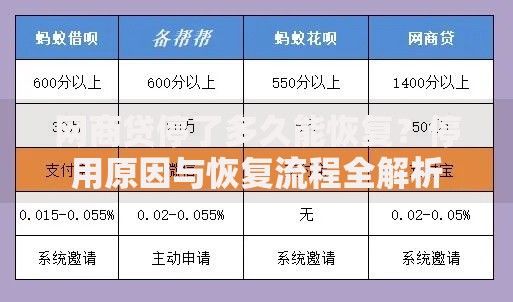 网商贷停了多久能恢复？停用原因与恢复流程全解析