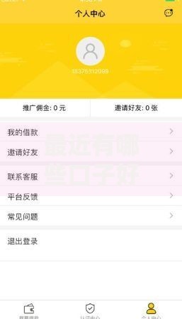 最近有哪些口子好下款？最新低门槛渠道推荐