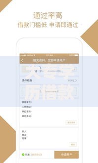 大专学历借款口子：低息快速放款平台推荐
