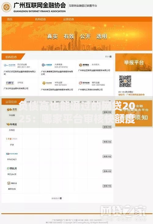 负债高也能通过的网贷2025：哪家平台审核快额度高？