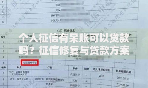 个人征信有呆账可以贷款吗？征信修复与贷款方案解析