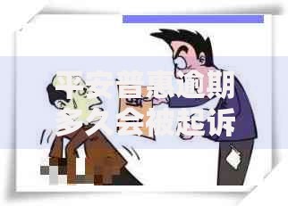 平安普惠逾期多久会被起诉？法律后果解析