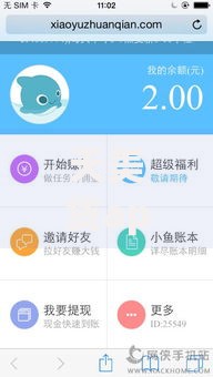 天美贷app下载ios：如何安全获取官方贷款平台？