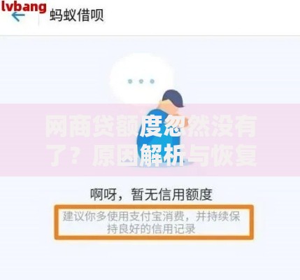 网商贷额度忽然没有了？原因解析与恢复方法全攻略