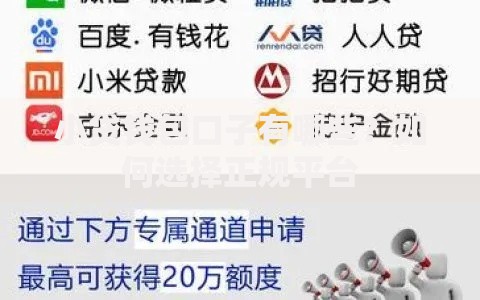 小贷钱包口子有哪些？如何选择正规平台