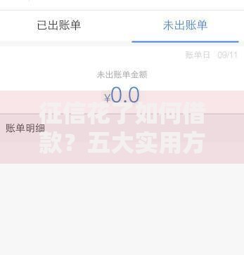 征信花了如何借款?五大实用方法助你成功获贷 征信花了如何借款?五大实用方法助你成功获贷