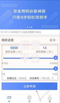 借贷平台哪个容易下款2025？最新审核标准解析