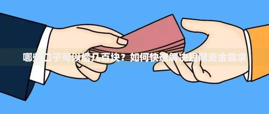 哪些口子可以借几百块？如何快速解决短期资金需求