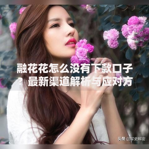 融花花怎么没有下款口子？最新渠道解析与应对方案