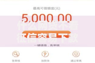 什么网贷不看征信容易下款？5大低门槛正规平台解析