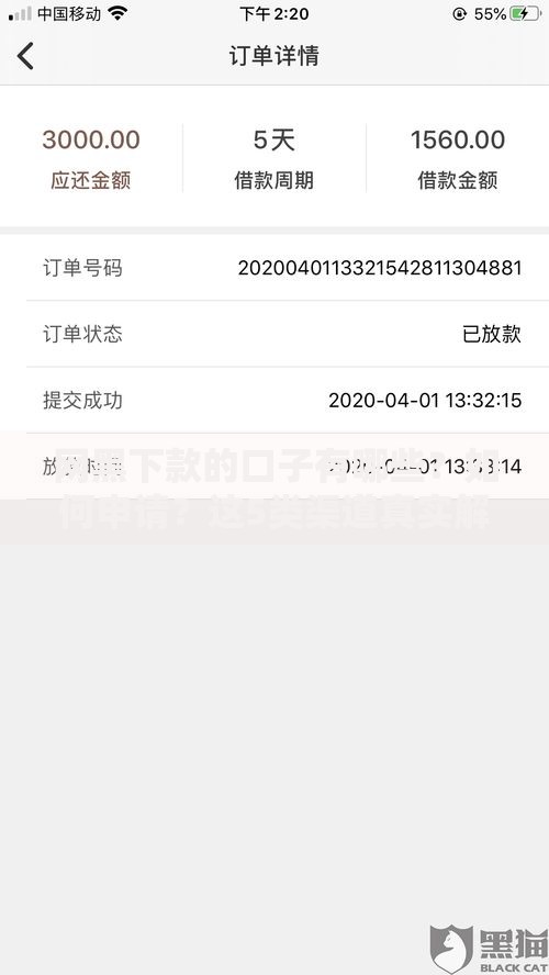 网黑下款的口子有哪些？如何申请？这5类渠道真实解析