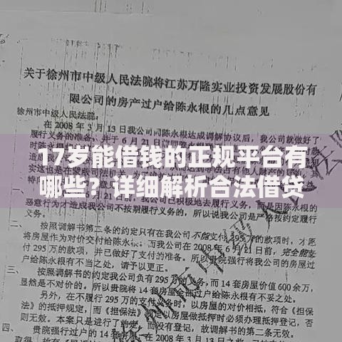 17岁能借钱的正规平台有哪些？详细解析合法借贷渠道