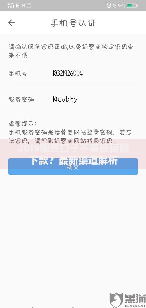 20l9哪些口子不看征信能下款？最新渠道解析