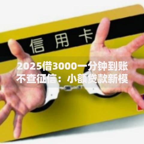 2025借3000一分钟到账不查征信：小额贷款新模式解析