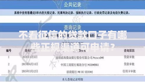 不看征信的贷款口子有哪些正规渠道可申请？