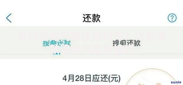 支付宝如何退还给对方？详细退款流程与实用技巧