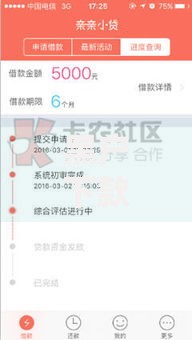 黑户下款的口子是真的吗？深度解析贷款风险与真相