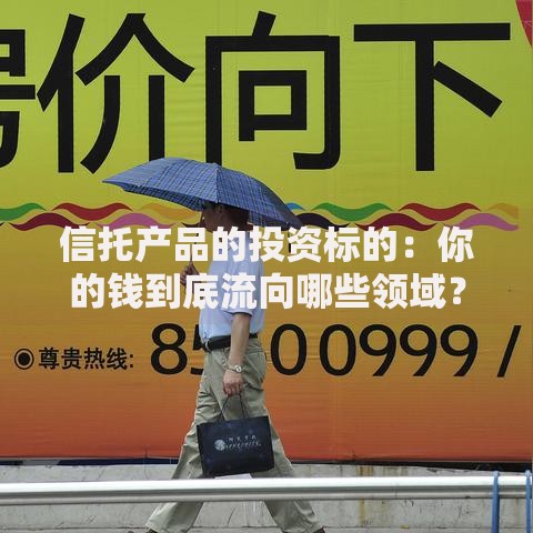 信托产品的投资标的：你的钱到底流向哪些领域？