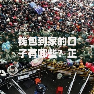 钱包到家的口子有哪些？正规贷款渠道全解析