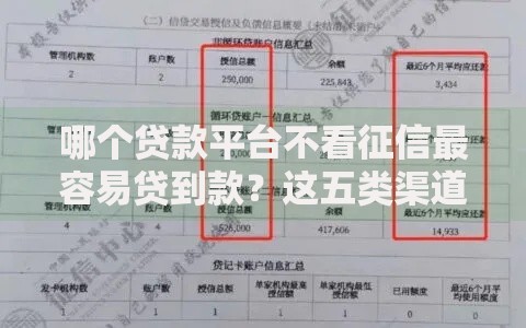 哪个贷款平台不看征信最容易贷到款？这五类渠道通过率高