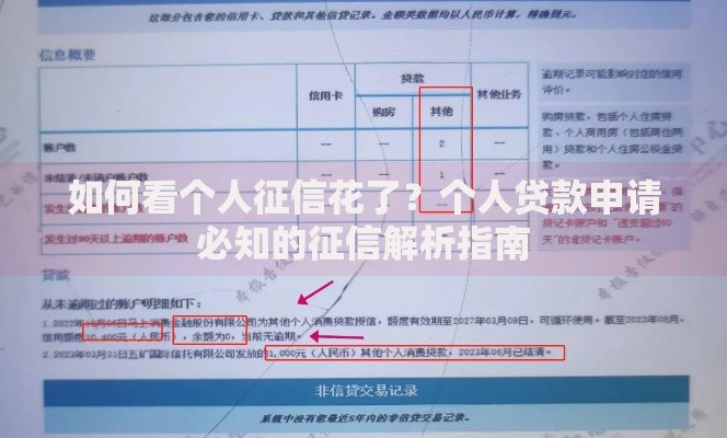 如何看个人征信花了？个人贷款申请必知的征信解析指南
