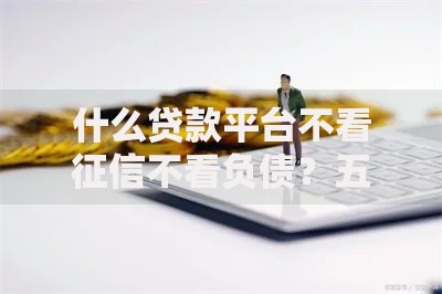 什么贷款平台不看征信不看负债？五类渠道深度解析