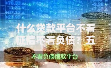 什么贷款平台不看征信不看负债？五类渠道深度解析