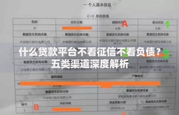 什么贷款平台不看征信不看负债？五类渠道深度解析