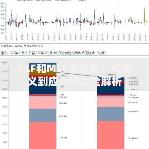 SLF和MLF的区别：从定义到应用场景全解析