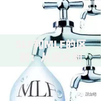 SLF和MLF的区别：从定义到应用场景全解析