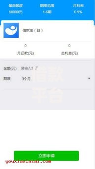 借款平台哪个容易通过？这几个审核宽松的平台值得一试