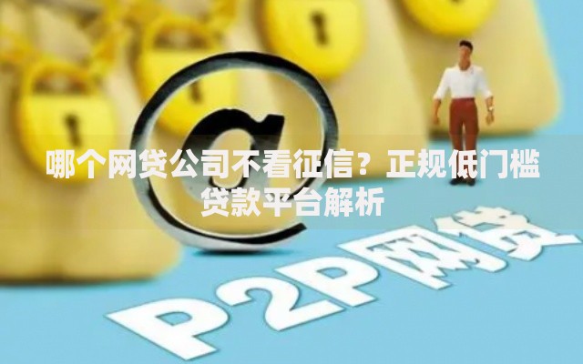 哪个网贷公司不看征信？正规低门槛贷款平台解析
