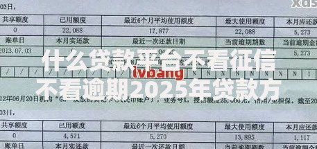 什么贷款平台不看征信不看逾期2025年贷款方式解析