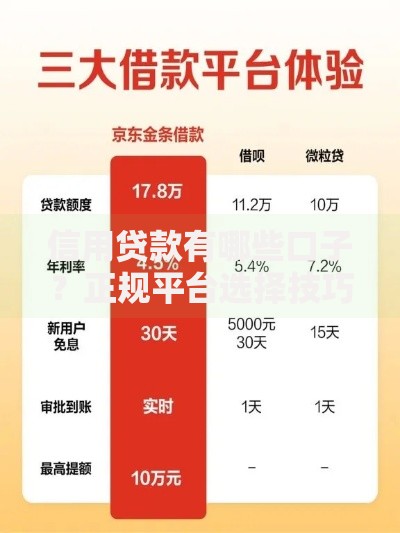 信用贷款有哪些口子？正规平台选择技巧解析