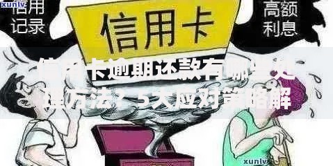 信用卡逾期还款有哪些处理方法？5大应对策略解析