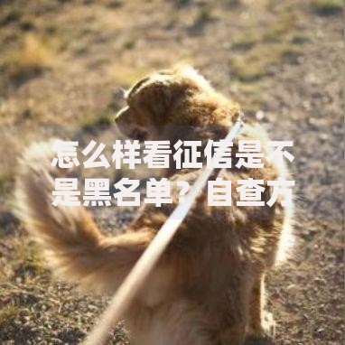 怎么样看征信是不是黑名单？自查方法与修复指南