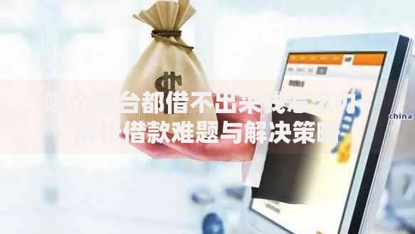 哪个平台都借不出来钱怎么办？解析借款难题与解决策略