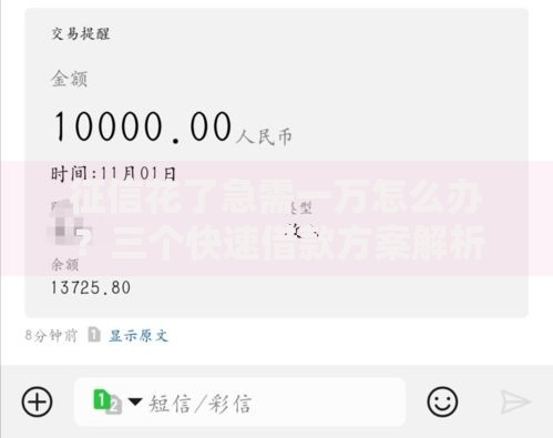 征信花了急需一万怎么办？三个快速借款方案解析