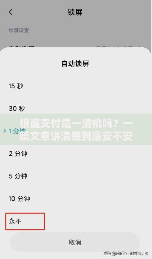 银盛支付是一清机吗？一篇文章讲清楚到底安不安全