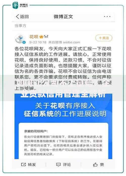 如何让公司不上征信？企业贷款信用管理全解析