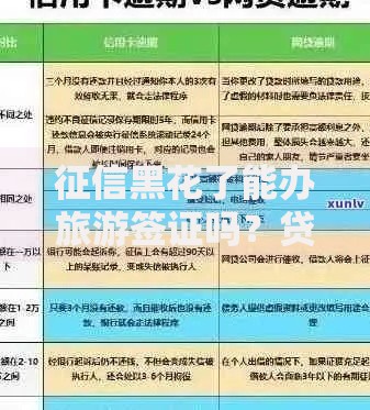 征信黑花了能办旅游签证吗？贷款类问题深度解析