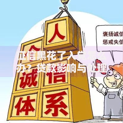 征信黑花了入党怎么办？贷款影响与处理方案解析