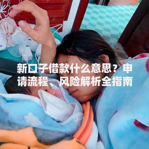 新口子借款什么意思？申请流程、风险解析全指南